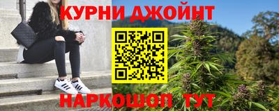 гидра Гай