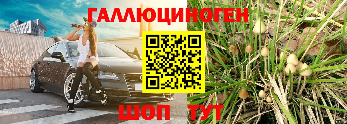 Грозный  Галлюциногенные грибы мухоморы  Вход с VPN 